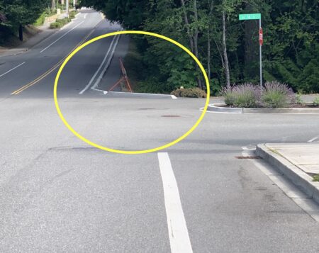 sammamish curb defect 
